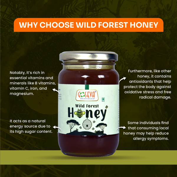 Wild Forest Honey | 250 ML