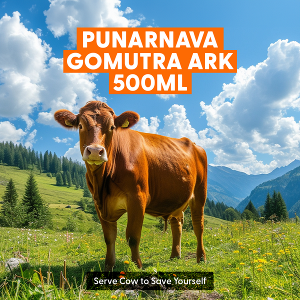 Gomutra Ark | 500ML