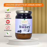 Jamun Honey | 350g - Goseva