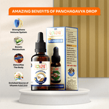 Panchagavya Nasal Drop - Goseva