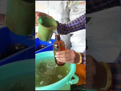 Goseva Arjun Gomutra Ark - Gir Cow video