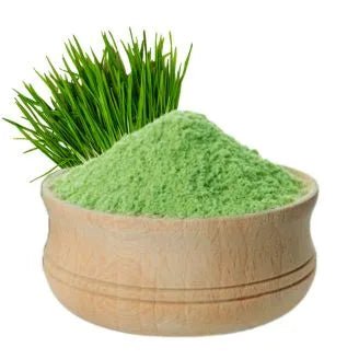 Wheat Grass Powder - Pure Natural Green Superfood | Goseva